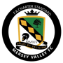Mersey Valley FC